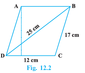 Page 117 Chapter 12 Class 9th NCERT Exemplar